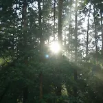 Διαμέρισμα Am Wald