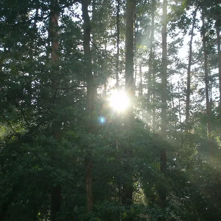Apartment Am Wald